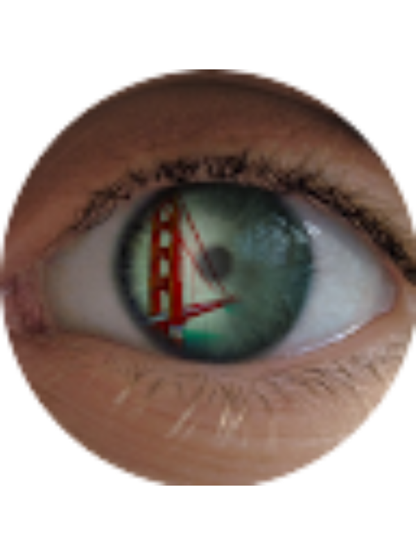 Photo of Virtual Bridge