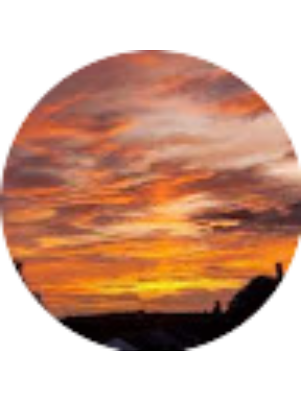 Photo of Anna Hughes _ Student - MillbrookHS