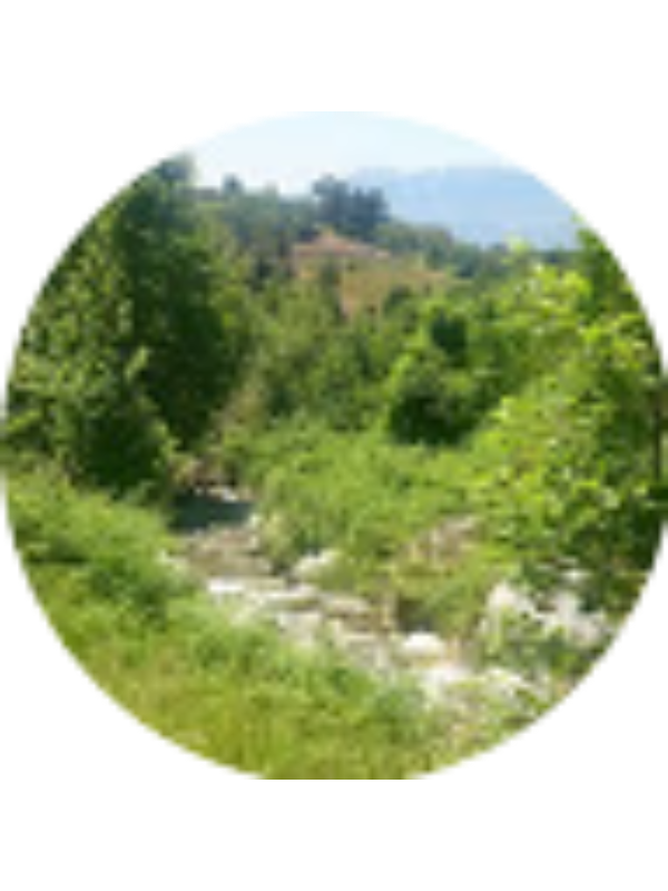 Photo of TESLİME S&Ouml;YLEMEZ