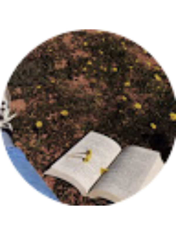 Photo of رفيدة خالد