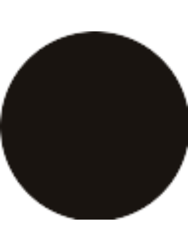 Photo of Gonca Demir