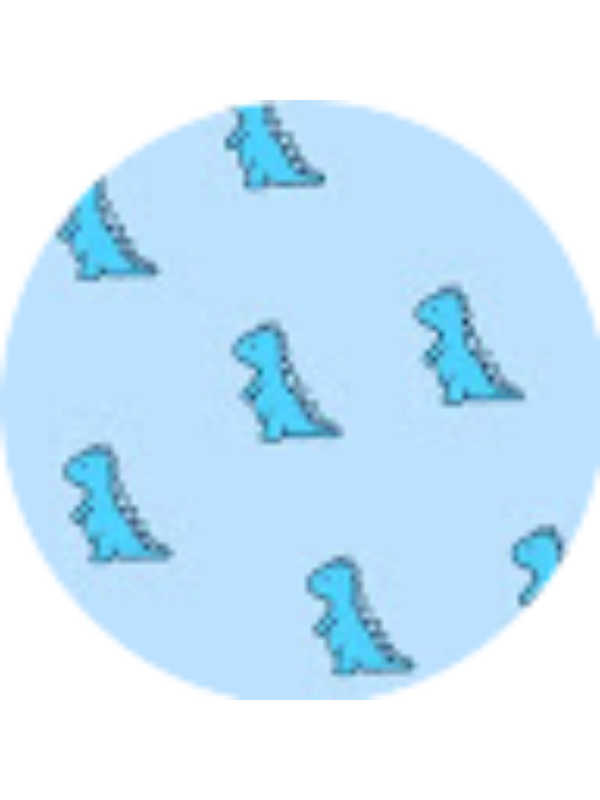 Photo of Natalie Woon Shun Yi