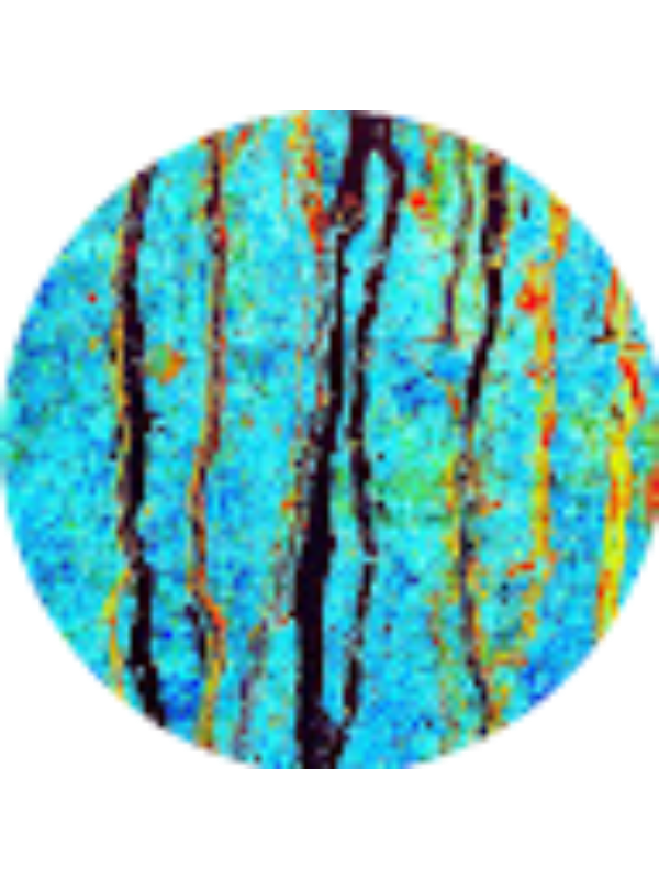 Photo of Daniel Bueno