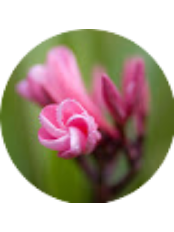 Photo of Charli Wilding