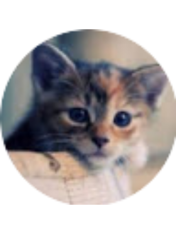 Photo of Lenora Parchman