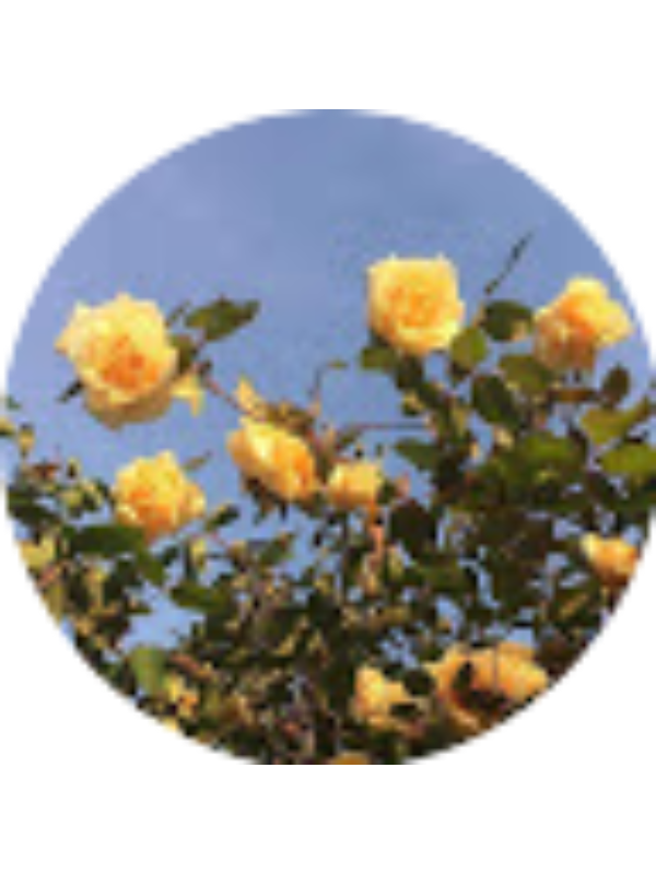 Photo of Emma Hoeppner