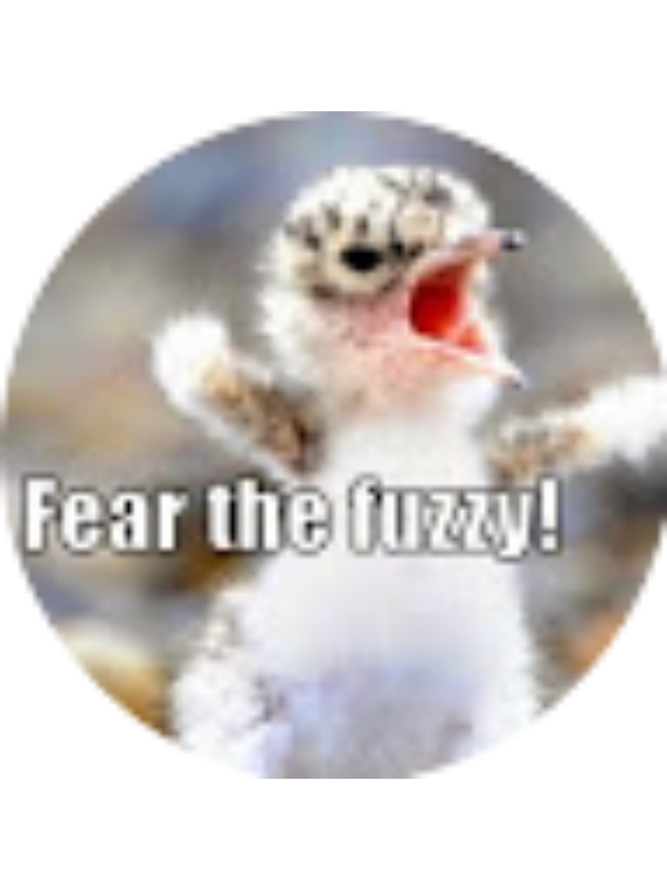 Photo of Lauren Maciejewski