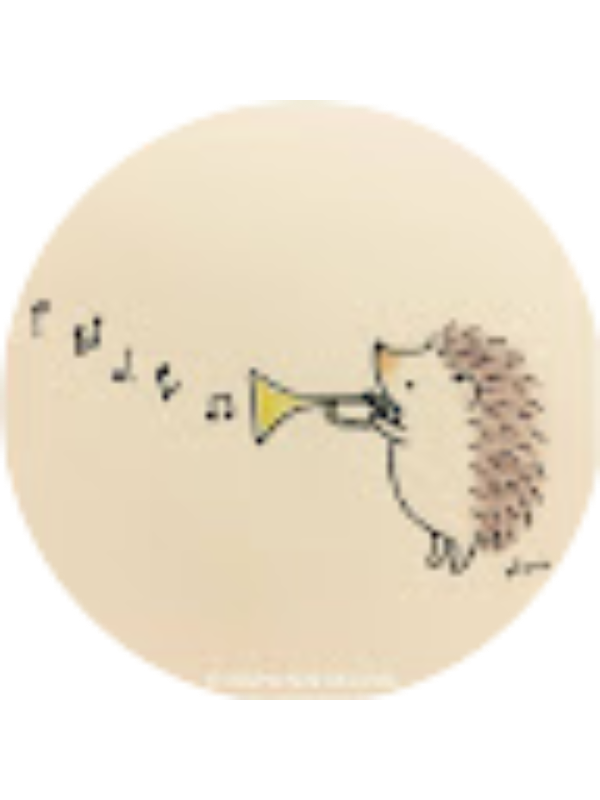 Photo of Megan Draheim