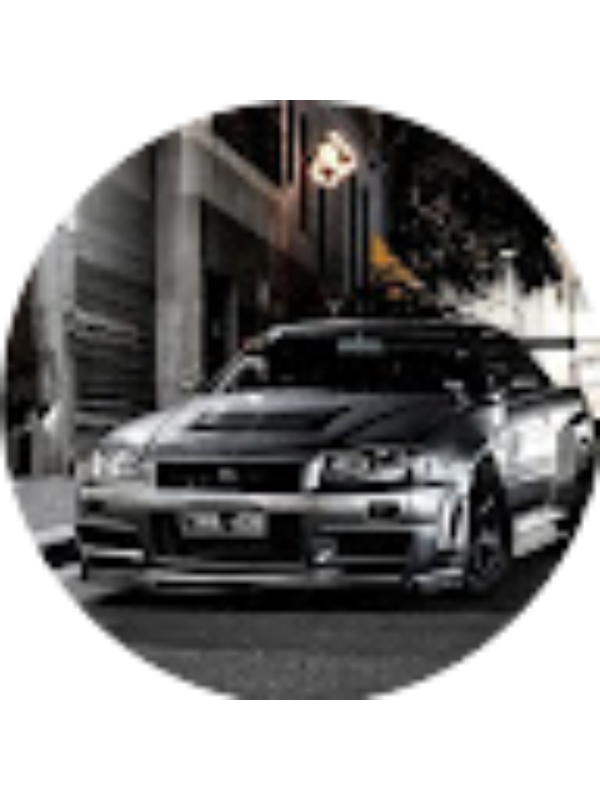 Photo of GON�ALO DINIS NUNES COELHO .