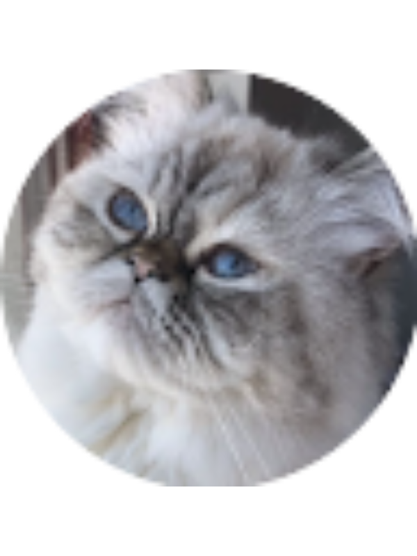 Photo of Elif Y&uuml;ksekkaya