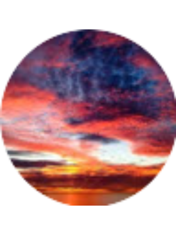 Photo of Camden Phelan