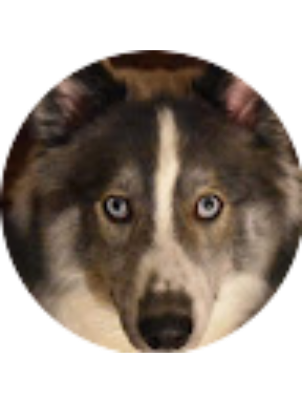 Photo of Lucas Porter