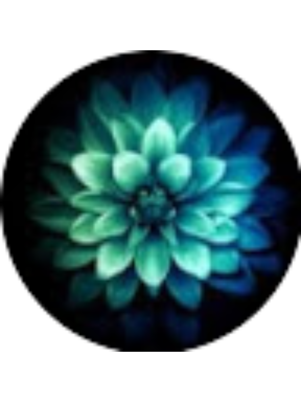 Photo of Emma Seymour