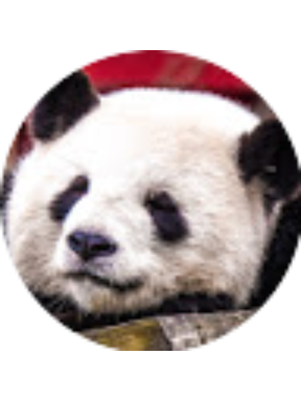 Photo of Mustafa Furkan KARAMAN