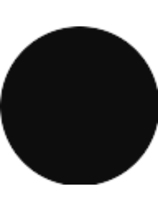 Photo of Maria Emilia Guerrón