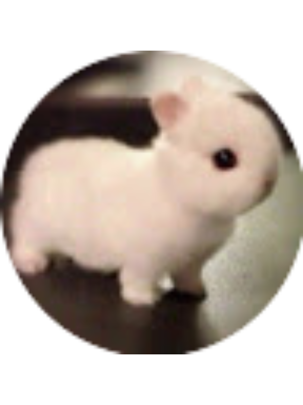 Photo of Jesus Torres Contreras