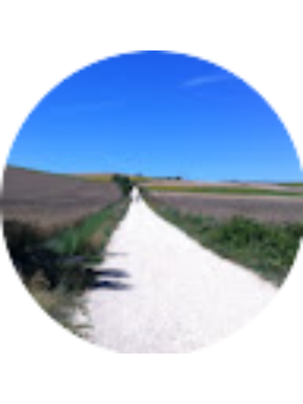 Photo of Alessia Castelli