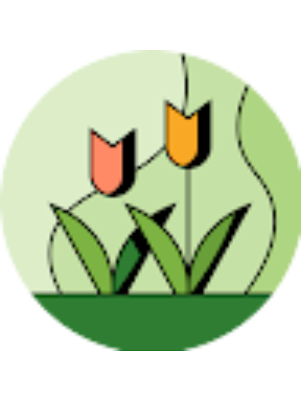 Photo of Melissa Miranda