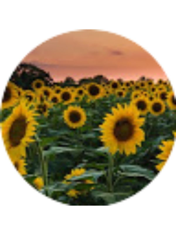 Photo of Anneliese Hogan