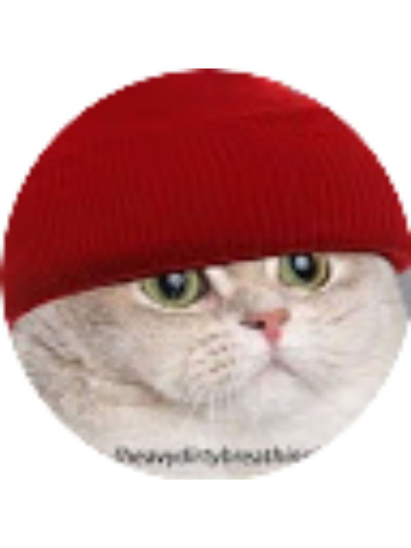 Photo of Acoya Salzwedel