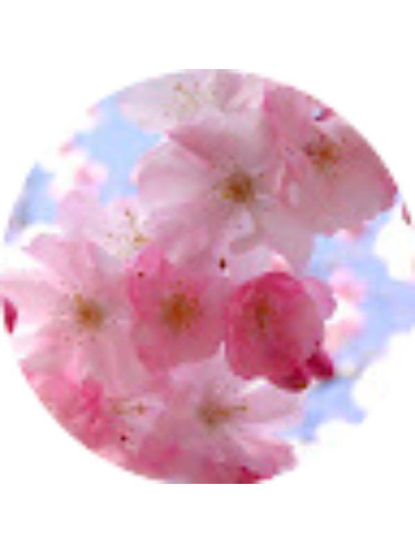 Photo of Kateryna McCloskey