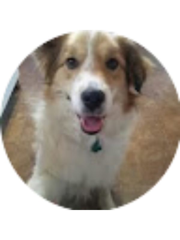 Photo of Ali Pochereva