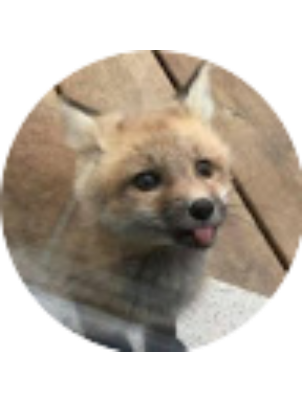 Photo of biancaioanaa