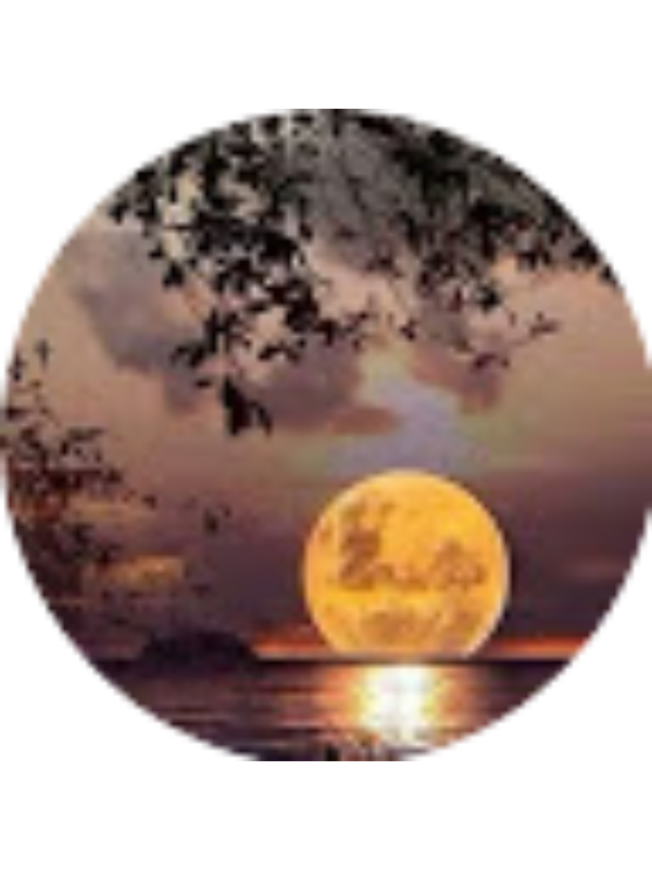 Photo of Lourdes Vargas