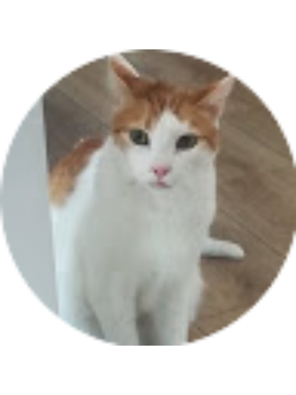 Photo of Alba Biane Canedo  Ayaviri