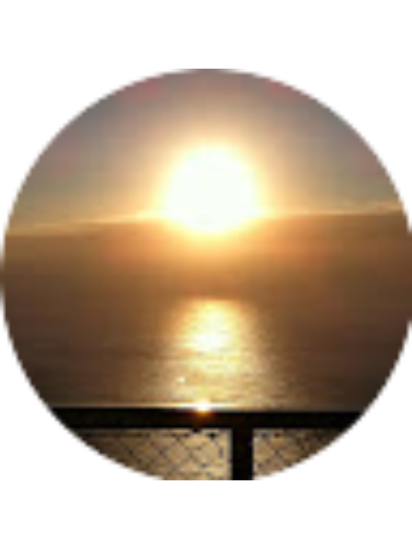 Photo of Carmelinda Passamonte