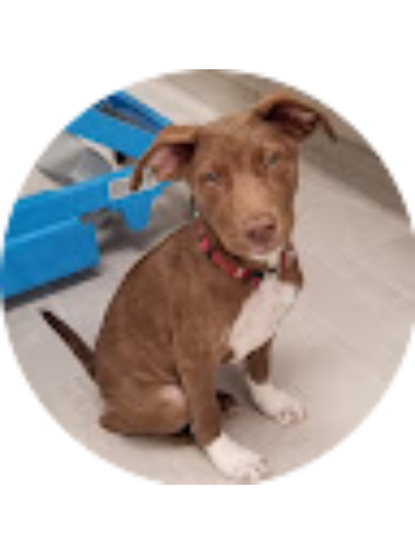 Photo of ELLA MACLEOD