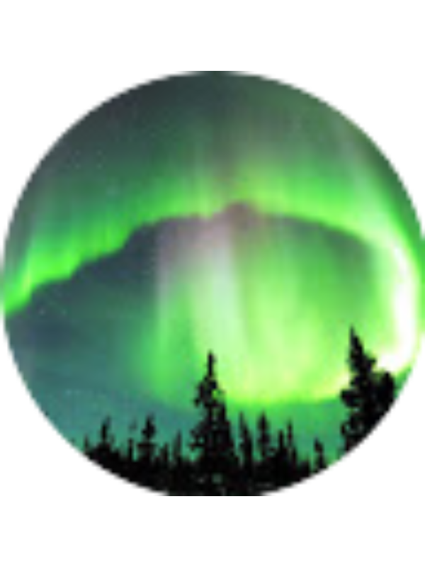 Photo of Rita Adomonienė