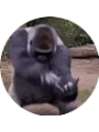 Picture of Colton Purvis