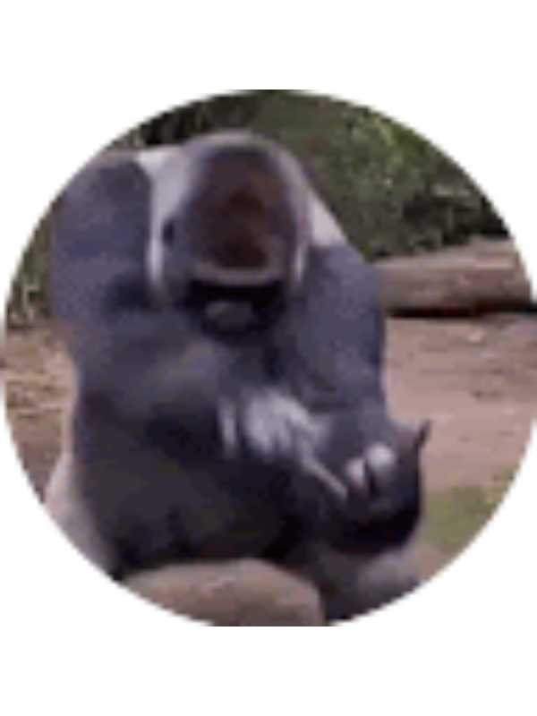 Photo of Colton Purvis