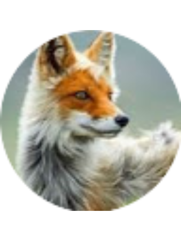 Photo of Kimberly Gillen