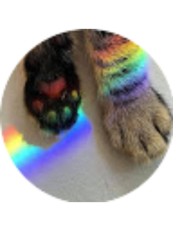 Photo of Scarlett Alexa Culajay Dávila Sexto F