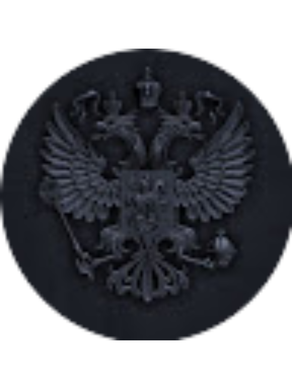 Photo of NICHITA DOBROSTOMAT