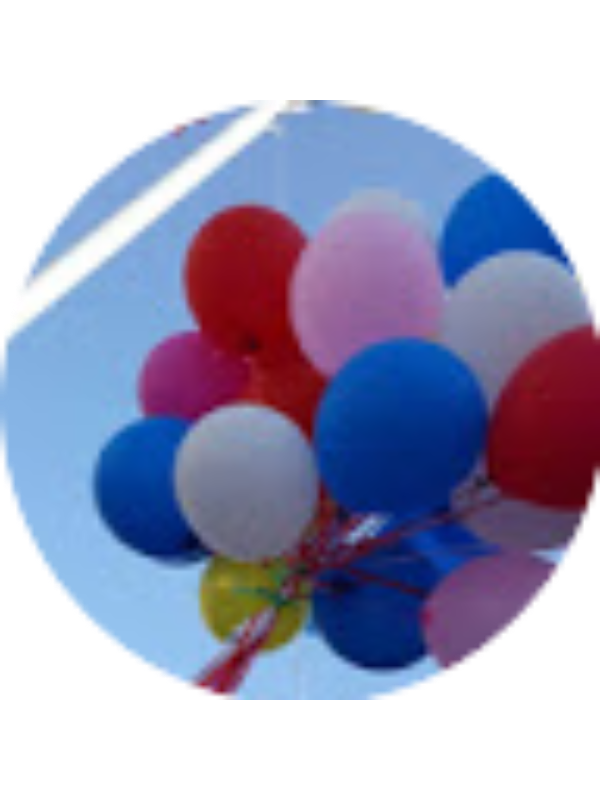 Photo of VIOLETA RAMAJ