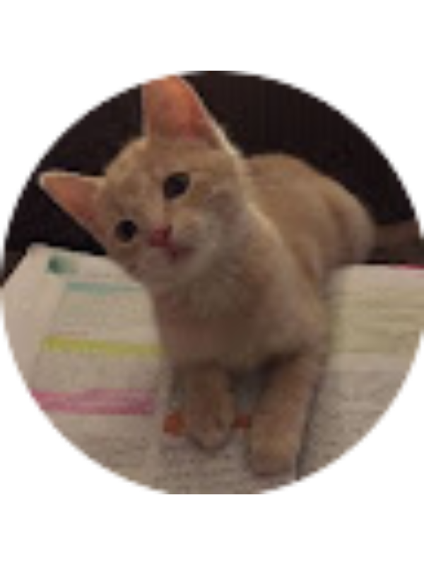 Photo of Ameliaa Gualoto