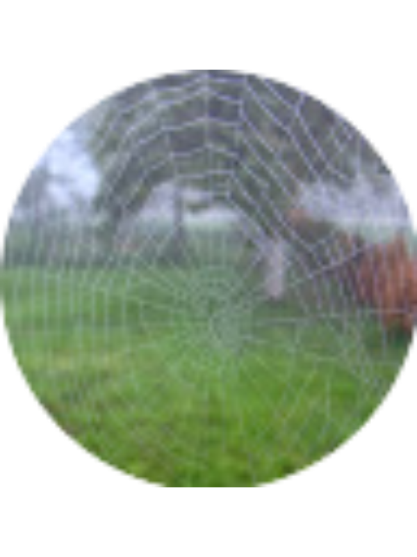 Photo of Marija Zubec