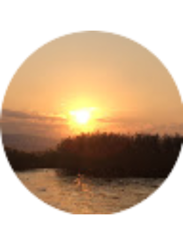 Photo of Dogaya Donus