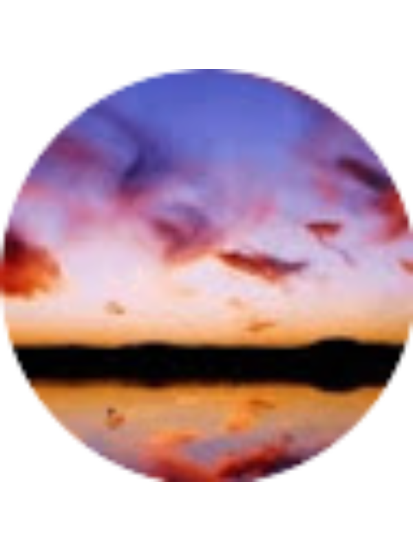 Photo of Taylor Pipkins