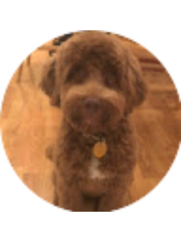 Photo of Brock Lindner