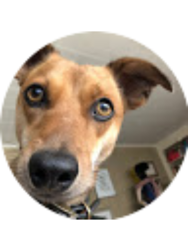 Photo of Patricia Buffo