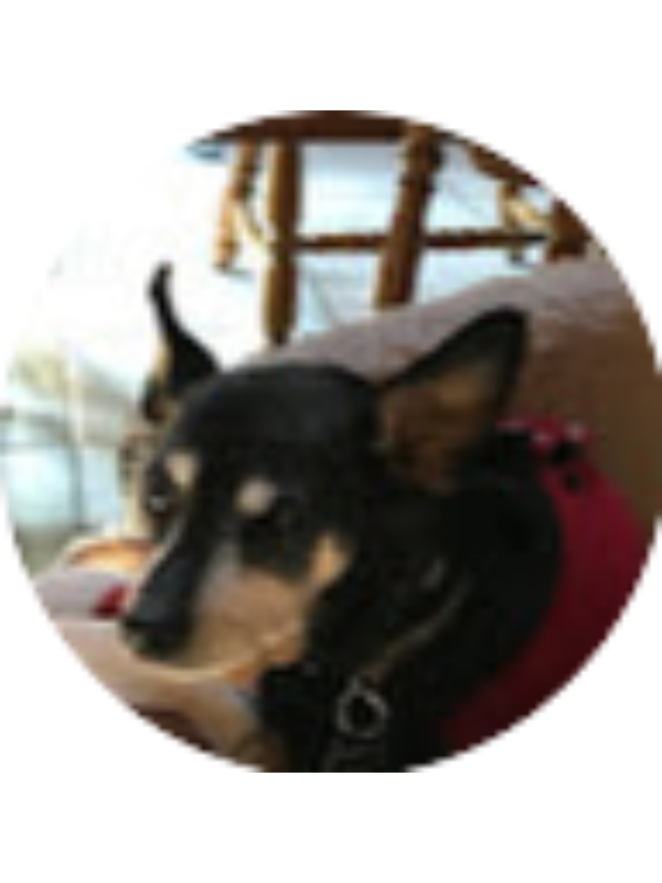 Photo of Kait Rounds