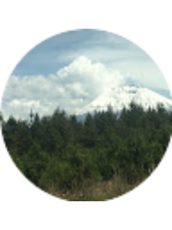 Photo of Mishelle Galarza