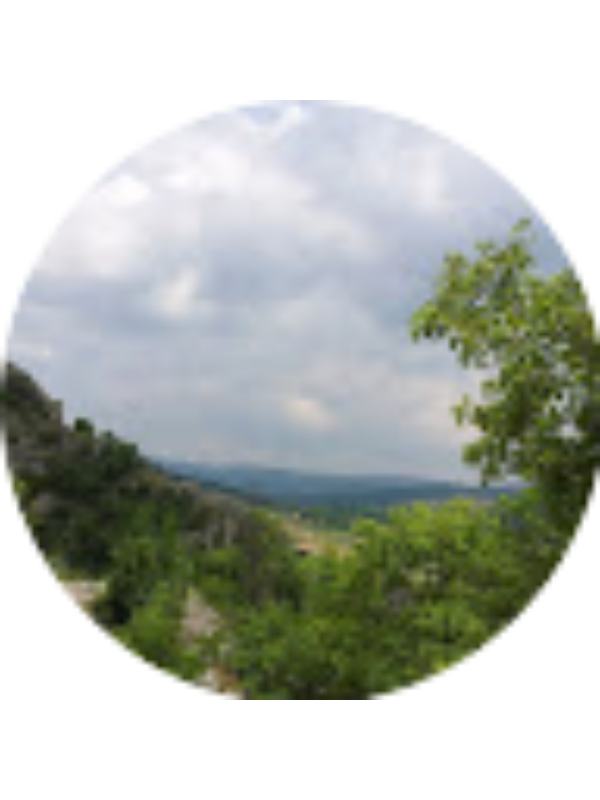 Photo of Biljana Zivkovic