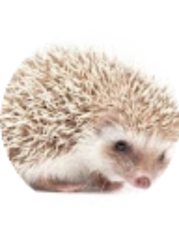 Photo of Savannah Shimp