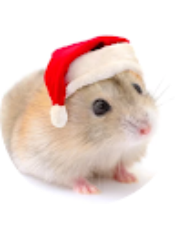 Photo of LUM ZI KAY Moe