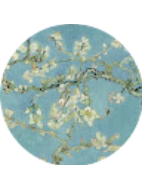 Photo of Sandra García Gallego